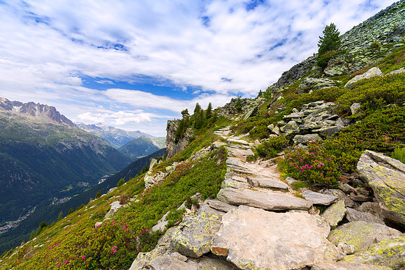 Alpine Path