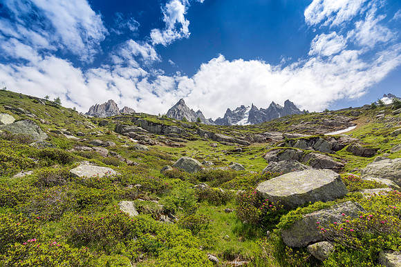 Mountains and Flowers