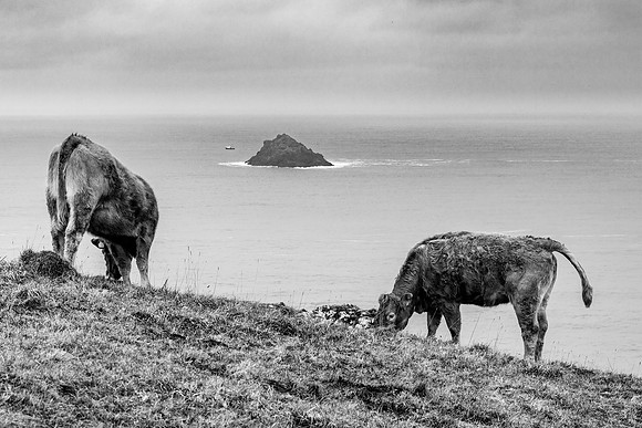 Rump Steak at The Rumps