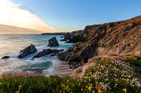 Cornwall Collection